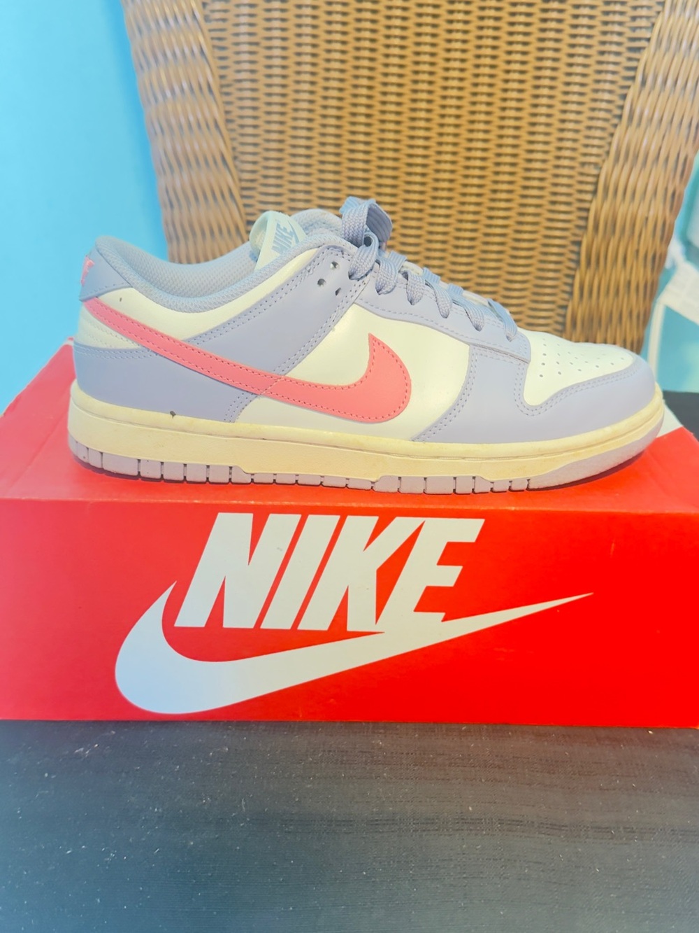 Nike Woman’s Low-Top Sneakers in Lavender and Pink Swoosh